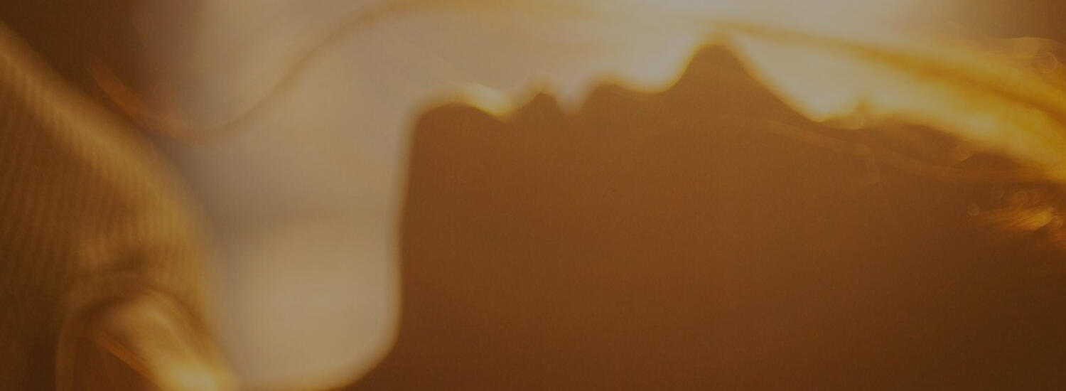 Refugio sensorial. Celeste Palluzzi